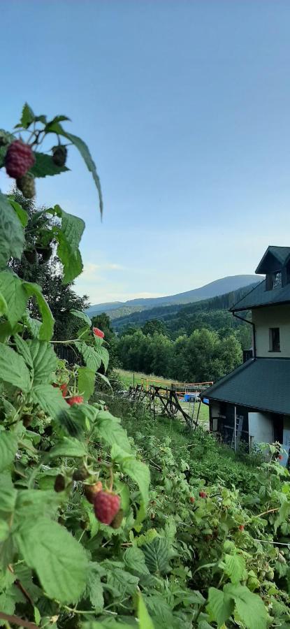 Willa Monte Neve Stronie Śląskie Extérieur photo